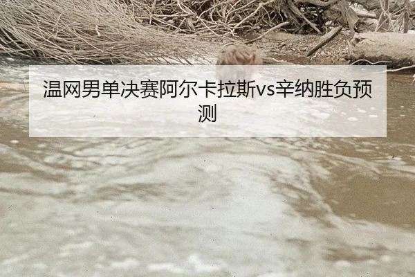 wen-wang-nan-dan-jue-sai-a-er-ka-la-si-xin-na-sheng-fu-yu-ce-1-323.jpg