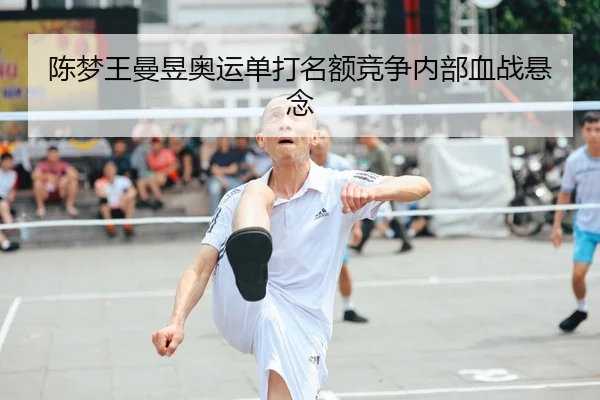chen-meng-wang-man-yu-ao-yun-dan-da-ming-e-jing-zheng-nei-bu-xue-zhan-xuan-nian-2-740.jpg