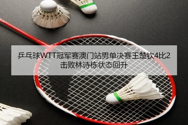 ping-pang-qiu-guan-jun-sai-ao-men-zhan-nan-dan-jue-sai-wang-chu-qin-bi-ji-bai-lin-shi-dong-zhuang-tai-hui-sheng-1-737.jpg