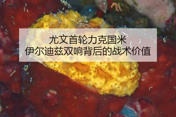 you-wen-shou-lun-li-ke-guo-mi-yi-er-di-zi-shuang-xiang-bei-hou-de-zhan-shu-jia-zhi-1-957.jpg